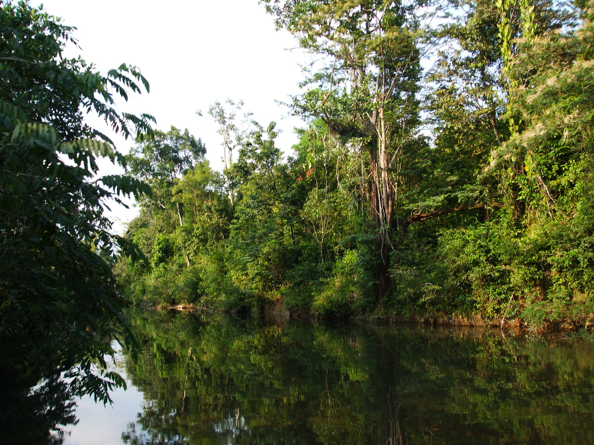 River in the Atlantic Forest Region of Nicaragua © Lara Koritzke for ISEAL Alliance