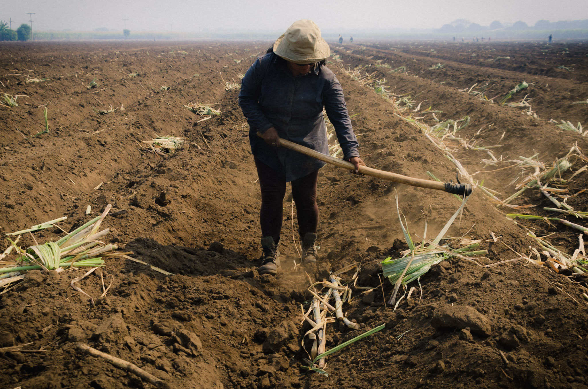 Sugar cane worker © Joe Woodruff for Bonsucro
