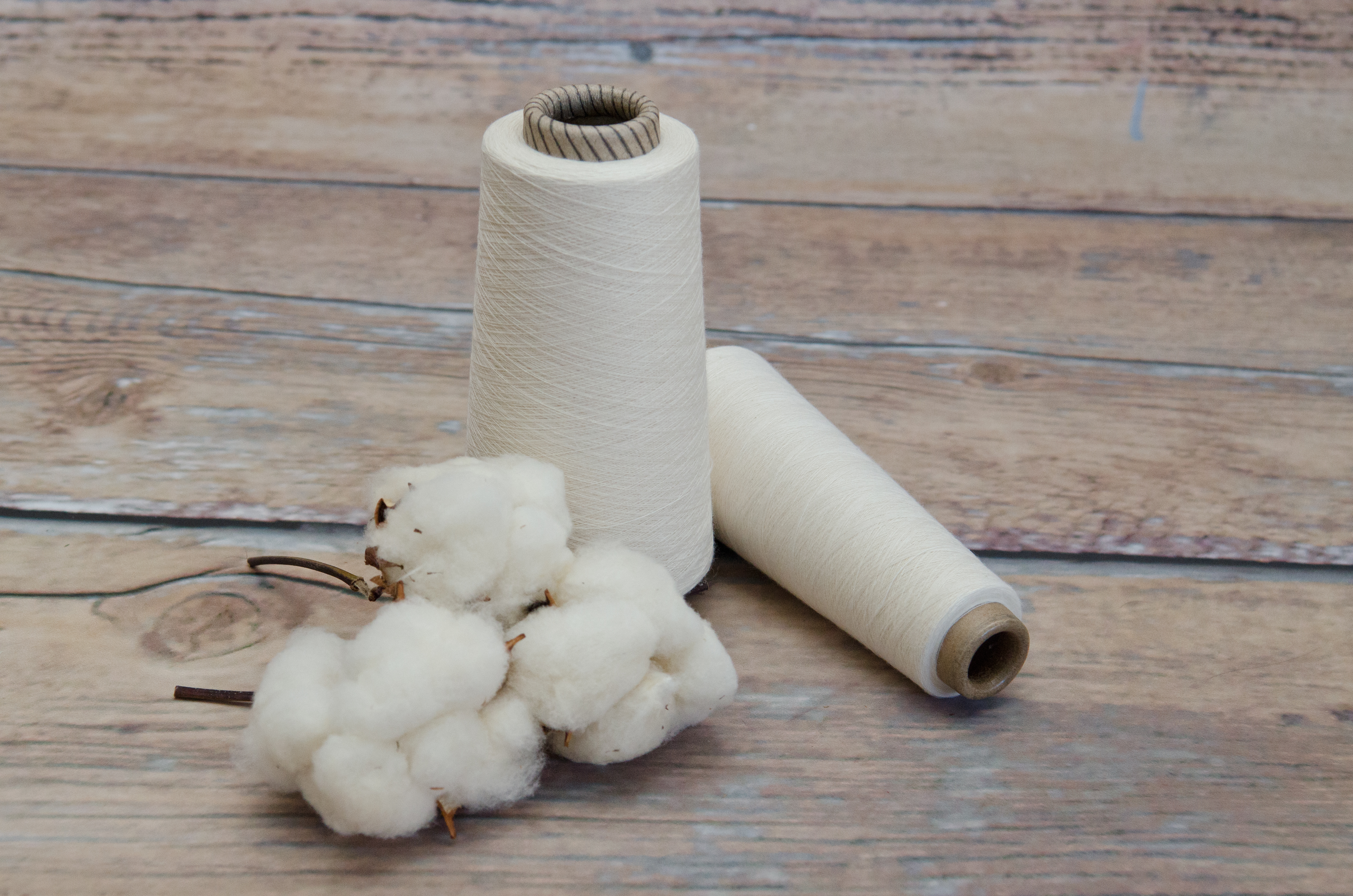 Cotton yarn and bols © BCI