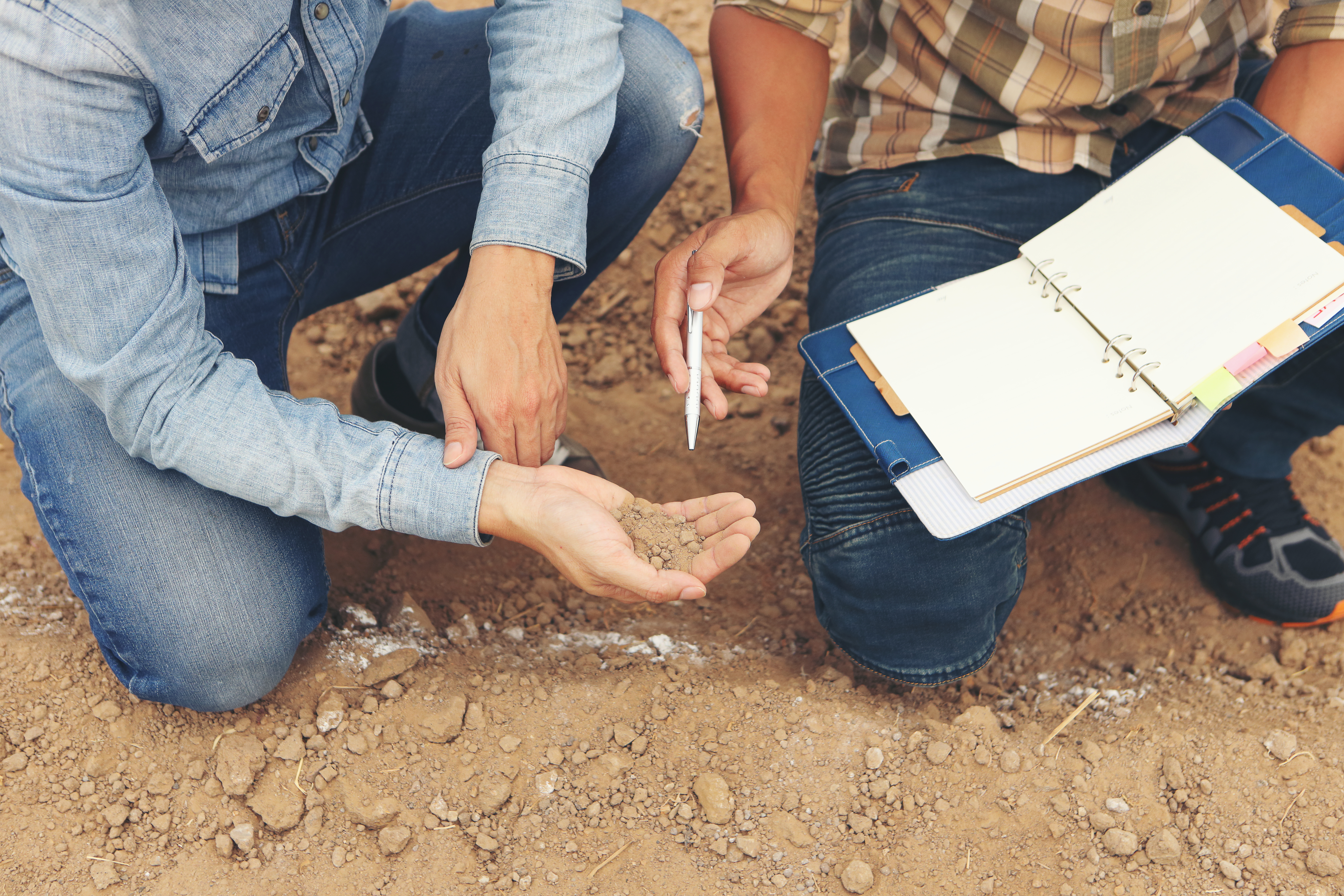 Farmers checking soil quality © boonchok