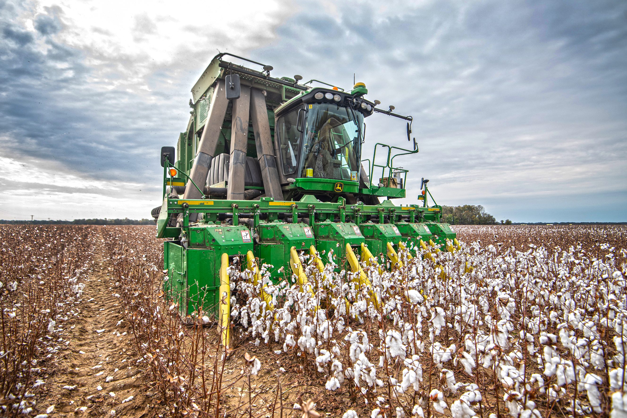 A cotton picker harvesting a field © Demarcus Bowser