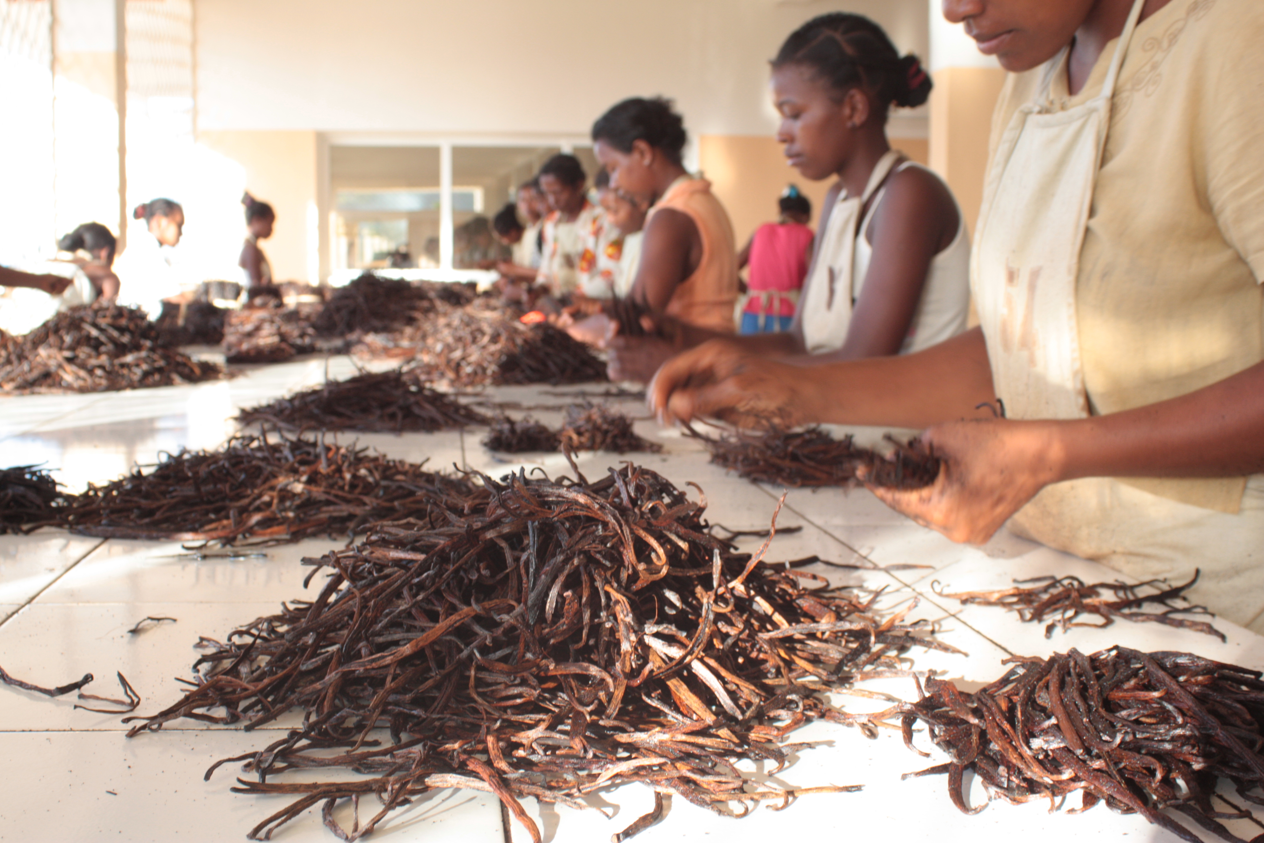 Vanilla traders, Madagascar © Sylvain Ly, Fairtrade