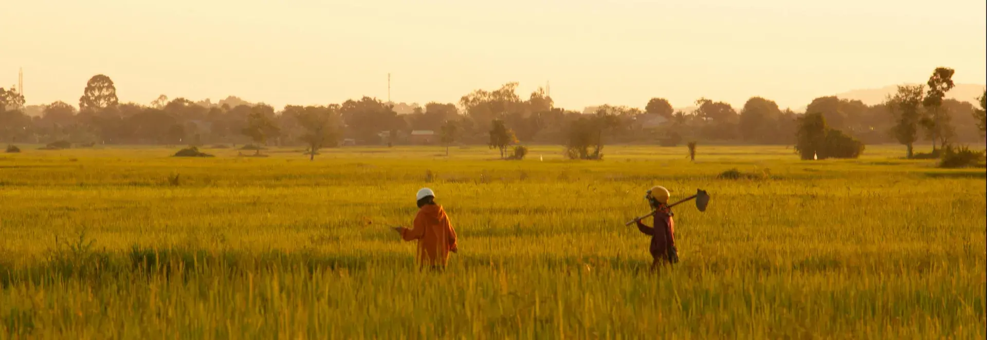 farming in field