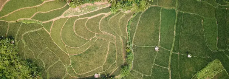 Aerial image of green landscape 