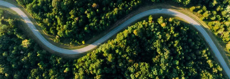 Winding road through a forest