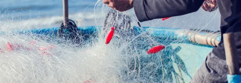 Fisherman's net