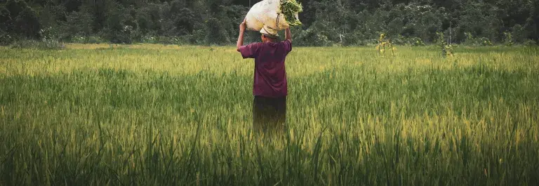 Single farmer