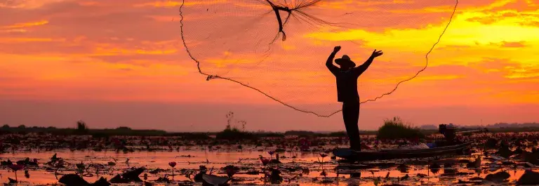 Fisherman's net