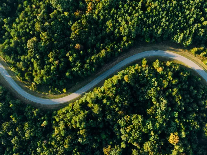 Aerial photo of road weaving through forest