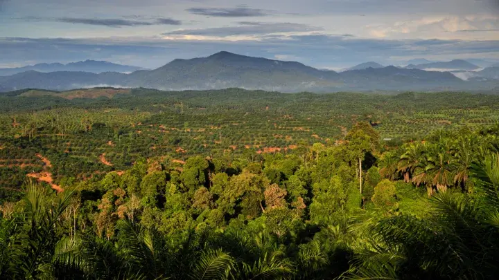 Sabah landscape, Malaysia  © RSPO