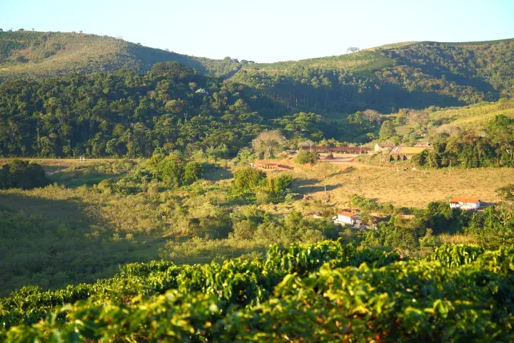 Fazenda Recanto coffee farm © Rainforest Alliance
