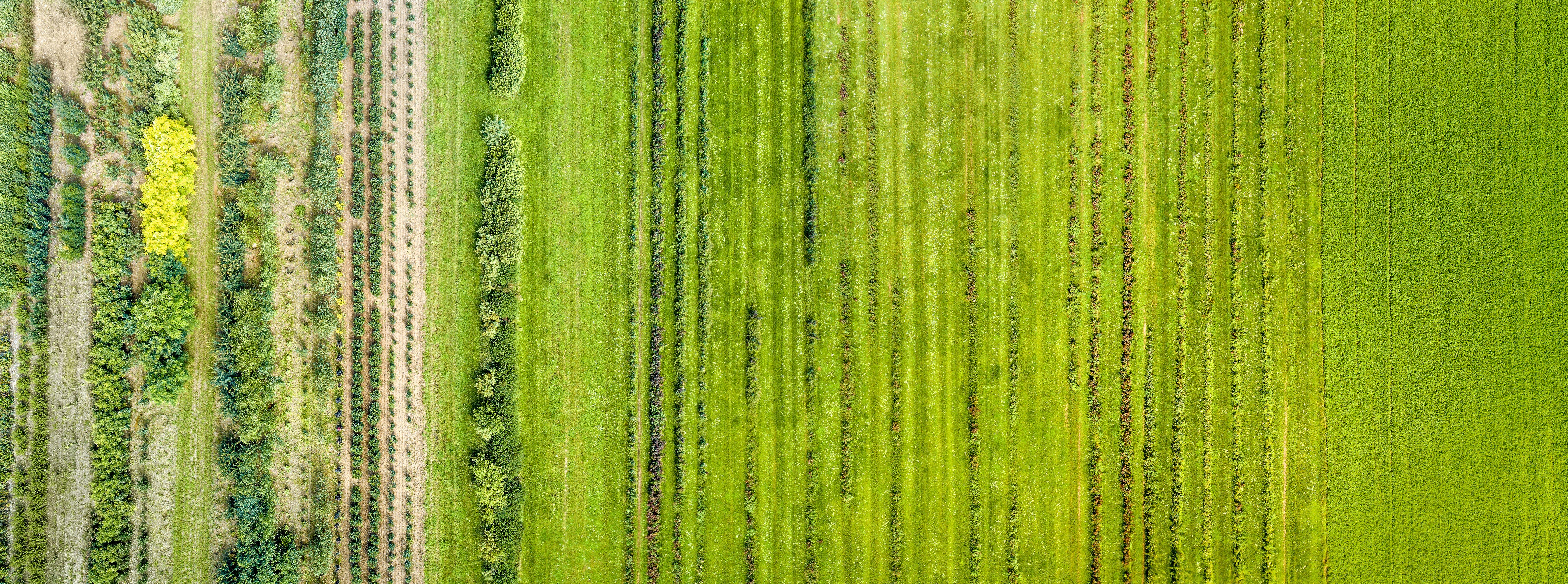 © Adobe stock: Crops from above