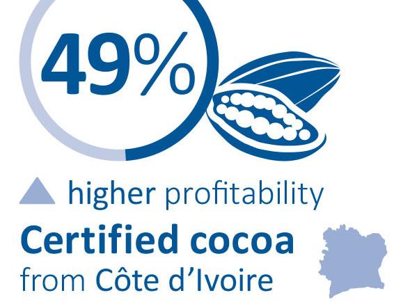 Infographic for Cocoa in Cote D'Ivoire