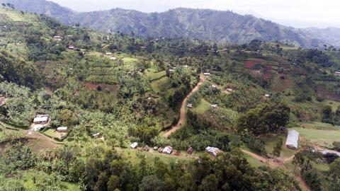 Drone footage of coffee in Uganda © Giuseppe Cipriani for UTZ