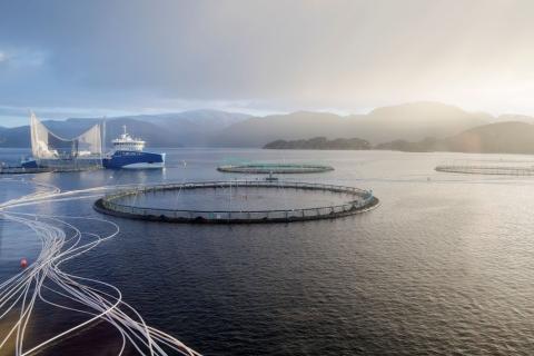 ASC certifed salmon farm, Leroy Midt, by Tove Breistein for ASC