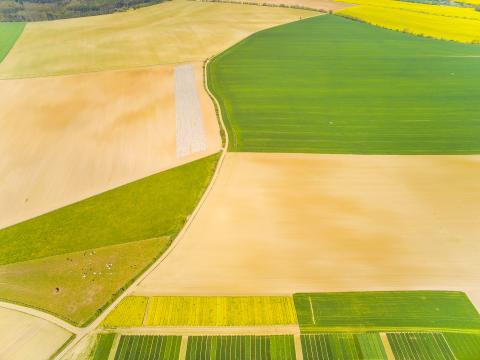 Aerial view of fields © Kletr, Adobe stock