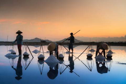 Workers collecting sea salt  © Quang Nguyen Vinh