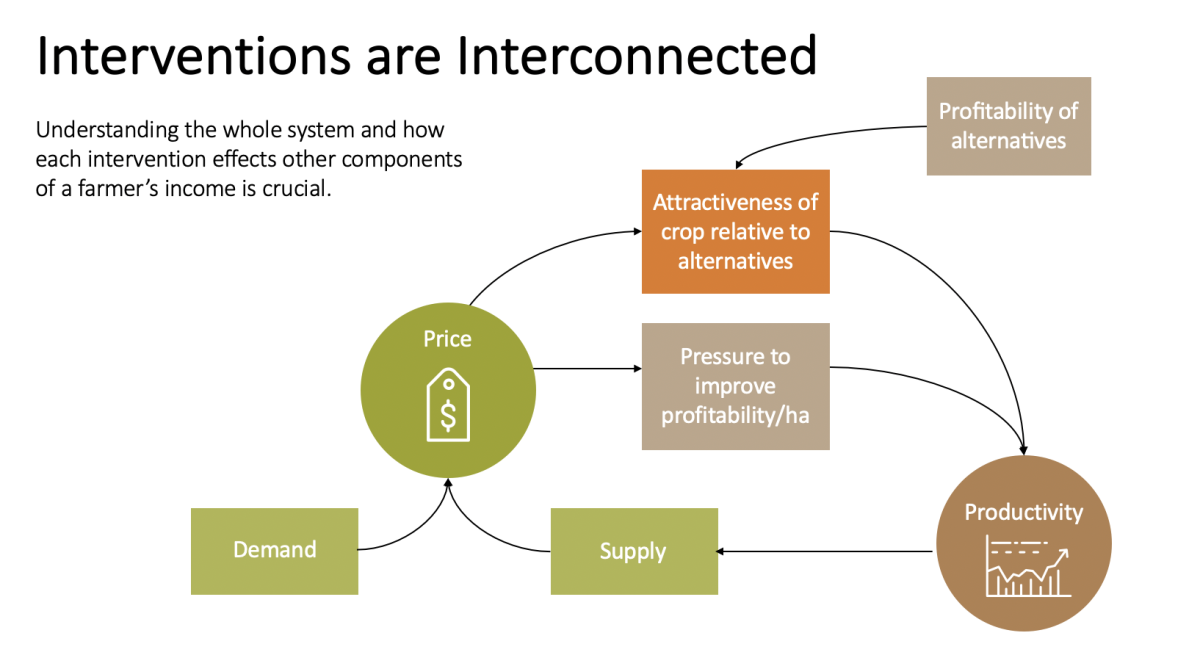 Living income interventions graphic