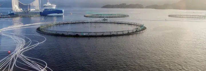 ASC certifed salmon farm, Leroy Midt, by Tove Breistein for ASC