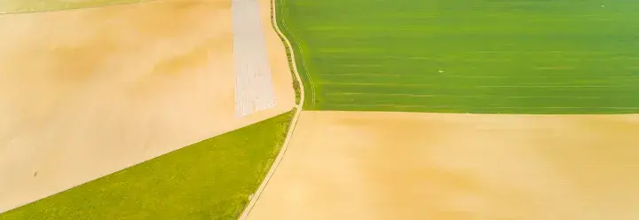 Aerial view of fields © Kletr, Adobe stock