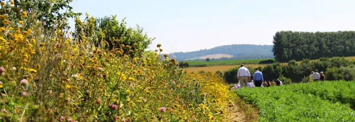 Frogmary Green farm in Somerset © LEAF (Linking Environment And Farming)