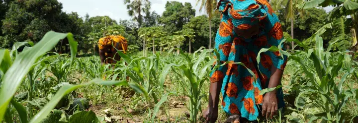 Women farming