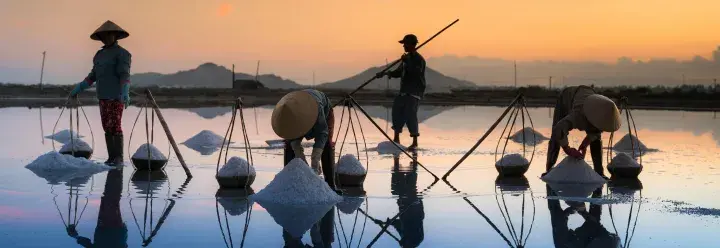 Workers collecting sea salt  © Quang Nguyen Vinh